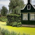 Vancouver's Evening Glow: Why Window Film Is A Must After Landscape Lighting