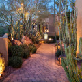 Creating A Stunning Nighttime Ambiance: The Role Of Tree Care In Effective Landscape Lighting In Scottsdale, AZ
