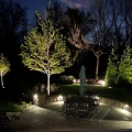 Glowing Results: How Landscape Lighting Can Elevate Your Space Following Tree Removal In Bethany