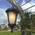 Glowing Results: Enhancing Landscape Lighting With Tree Care In Georgetown, MA
